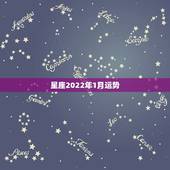 星座2022年1月运势，请紫微斗数大师帮忙分析一下~感谢