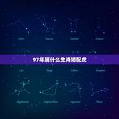 97年属什么生肖婚配虎，97年属牛和98年属虎的婚配怎样