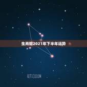 生肖蛇2021年下半年运势，属蛇2021年运势及运程每月运程