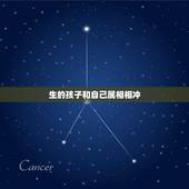 生的孩子和自己属相相冲，属龙和属马的适合生什么属相的孩子