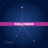 双鱼座上升星座查询，上升星座查询