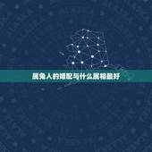 属兔人的婚配与什么属相最好，属兔人和什么属相合作好