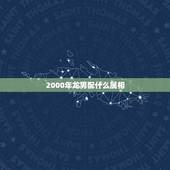 2000年龙男配什么属相，2000年属龙最佳婚配