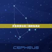 天生命苦注定二婚的生肖女，旺子旺家，注定会被老公宠爱一生最有福气的4个