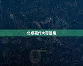 北京嘉代大哥是谁，任嘉代简介