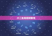 十二生肖招财数字，十二生肖数字表