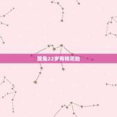 属兔22岁有桃花劫，生肖兔的桃花劫