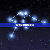 属相兔和鼠相配吗，属兔和属鼠的合得来吗