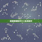属相婚姻配对十二生肖配对，十二生肖婚姻配对