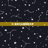 鼠年什么属相犯太岁，2019属鼠的犯太岁吗？