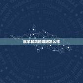 属羊和鸡的婚姻怎么样，91年属羊男和93属鸡女的婚姻