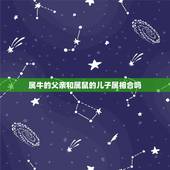 属牛的父亲和属鼠的儿子属相合吗，1973年属牛的父亲与1996年属鼠的