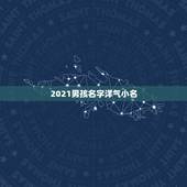 2021男孩名字洋气小名，4000个好听的男女名字大全