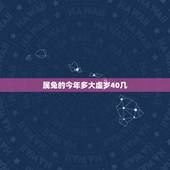 属兔的今年多大虚岁40几，属兔的今年多大，2015年属兔的人多大