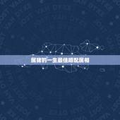 属猪的一生最佳婚配属相，属猴的和什么属相最配