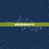 属蛇和属虎的合不合，属虎的和属蛇的在一起合适吗/