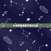 63年的兔是属于是什么命，一九六三年属兔什么命