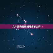 女牛男兔相配婚姻会怎么样，女牛男兔结婚的下场