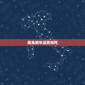 属兔明年运势如何，75兔男2022 年运势