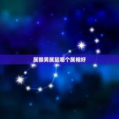 属猴男属鼠哪个属相好，属猴的生属什么属相的好