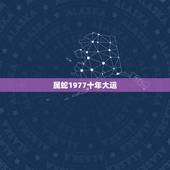 属蛇1977十年大运 77年属蛇46岁以后的一生命运