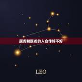 属龙和属龙的人合作好不好，属狗和属龙的合作可以