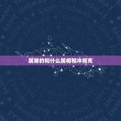属猪的和什么属相相冲相克，正月十一的生日属猪和什么属相相冲