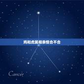 鸡和虎属相亲情合不合，属相里虎和鸡合不合