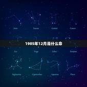 1985年12月是什么命 1985年是金牛还是木牛