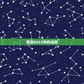 龙在2022年的运势 2022年龙每月运势