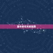 属牛的今天的运势，属牛的今年什么时候运气好走