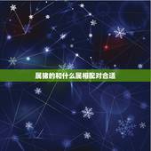 属猪的和什么属相配对合适，属蛇的和什么属相配