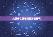 龙跟什么属相配更好最旺呢，属龙的跟属什么的最合适