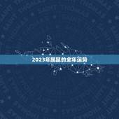 2023年属鼠的全年运势，72年属鼠49和50岁命运