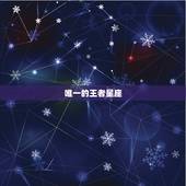 唯一的王者星座 一个情感克制的星座