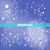 我想免费算命运，我想算命，免费，我想算一算财运？