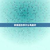 家庭适合养什么龟最好，家里养什么乌龟品种最好