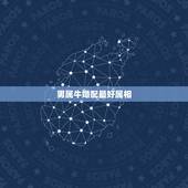 男属牛婚配最好属相，1997属牛男和什么属相婚配合适