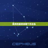 属虎的最忌讳哪个月出生，属虎的哪个出生日最差