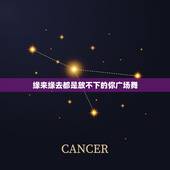 缘来缘去都是放不下的你广场舞，缘来缘去都是放不下的你是什么歌