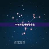 72年的鼠婚姻与命运，1972年属鼠是什么命 1972年出生人的命运