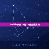 1995年农历12月17日出生属相，95年农历12月17日出生的人是什