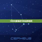 19999属兔的今年运势如何，男属兔的属相婚配表