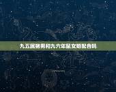 九五属猪男和九六年鼠女婚配合吗，1995年属猪人与1996年属鼠人结婚