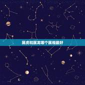 属虎和属龙哪个属相最好，属虎和属龙的人生什么属相的孩子好