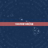 1985牛年10年大运，属牛85年，11月12日，财运官运