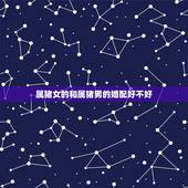 属猪女的和属猪男的婚配好不好，女属猪和男属猪相配吗