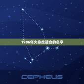 1986年火命虎适合的名字，1986年属虎的到底是五行中的哪一个？
