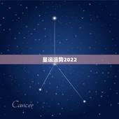 星运运势2022，2022十二星座财运排名 谁最有钱