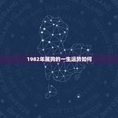1982年属狗的一生运势如何，1982年属狗是什么命